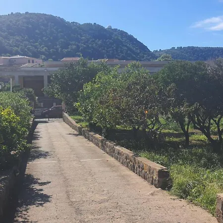 Apartment Caserta Rent Isola di Ustica